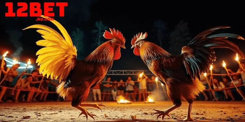 Có 3 loại kèo cược chính